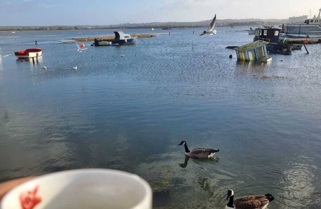 Poole, Holes Bay Harbour Nature Reserve - 'Right' next to the water :-) Sleeps 3