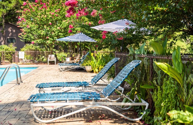 Poolside Queen Cabana with two queen beds, full kitchen and pool access overlooking Lake Ouachita. by RedAwning