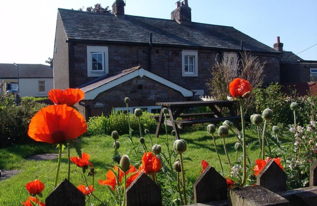 Poppy Cottage, Cosy 19th Centry traditional cottage, 5 miles from Bassenthwaite