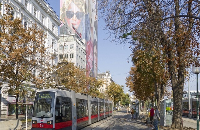 PRIME LOCATION 1 BED APT. "SCHOTTENRING"