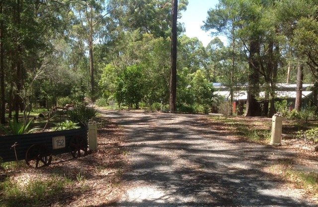 Privacy in Hungry Head Bush Setting