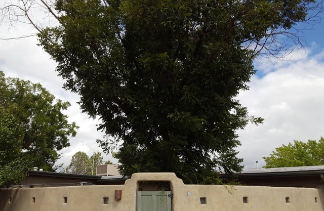 Private Entrance and Bath, 1 BR, Central N Valley. Wifi, Good Neighborhood