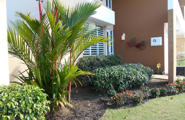 Private home close to BEACH, RAIN FOREST