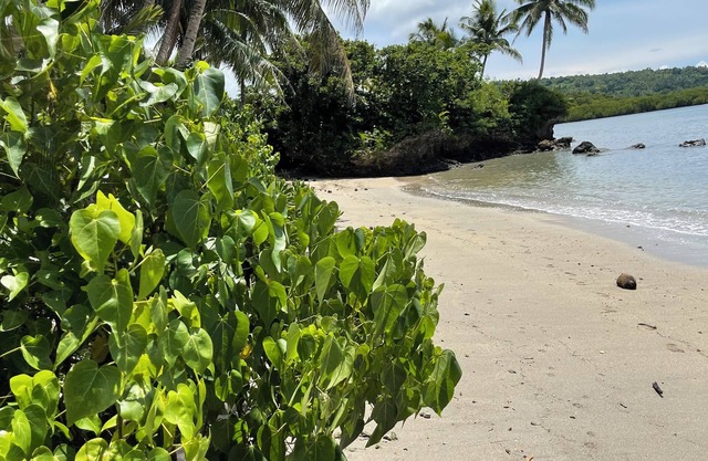 Private Island Escape Fiji ,Yoga,Wellness & Beachfront Serenity.