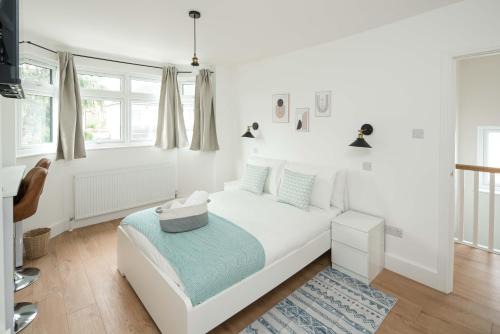 Private room in Modern and Stylish House