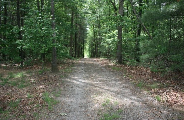 Private, Secluded, Relaxing Cabin. 033600nAsk about out WEDDING OPPORTUNITIES