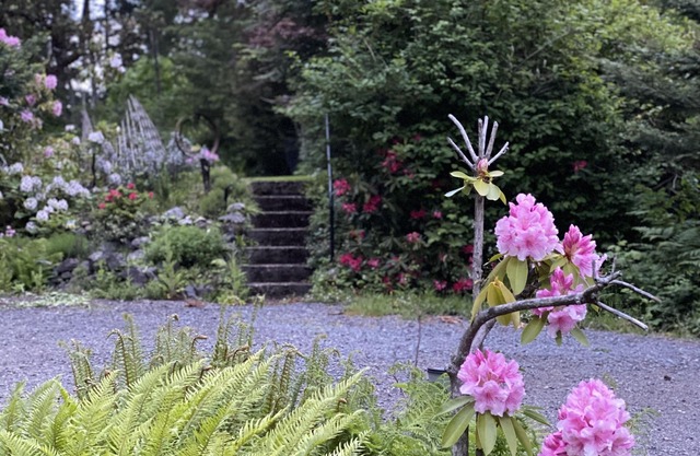 Private Setting/Suite in Home/Wifi/Self Check In/Out/Nature