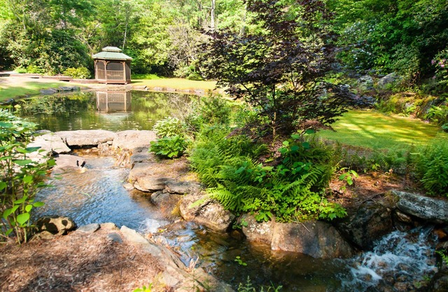 Private waterfalls, stream, pond Lake Toxaway Gorges State Park