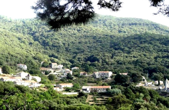 PROMO Rent village house in gualdariccio a proch zonza propriano