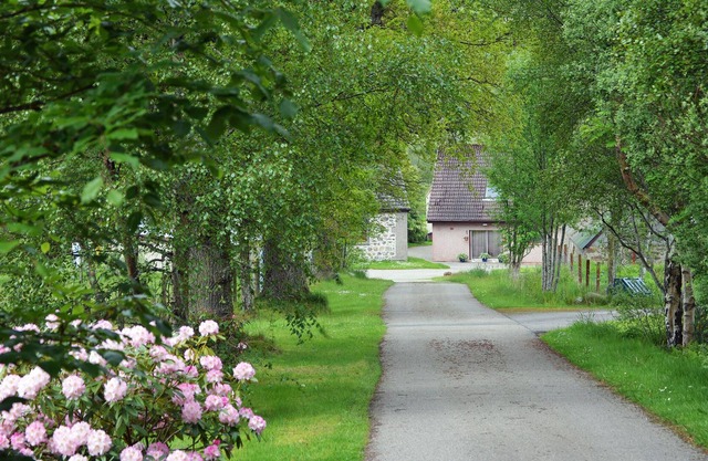 Promotion; reduced prices! Farmhouse 7 Miles From Loch Ness, In a Quiet Glen.