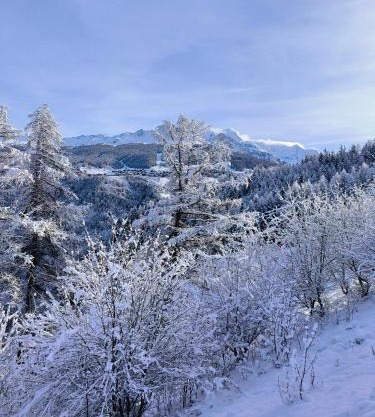 Résidence Le Rami Les Coches - La Plagne