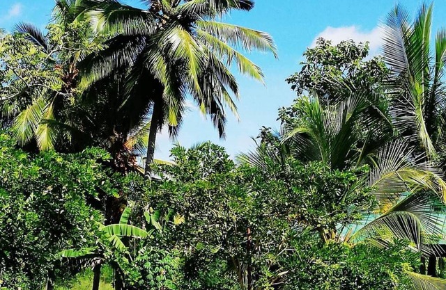 Rajarata Family Resort