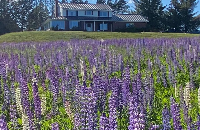 Rangeley Golf Course House, Lake Access, Close to downtown