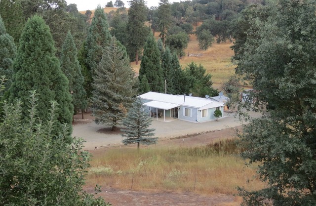 Relax in Your Own Private Pine Forest!
