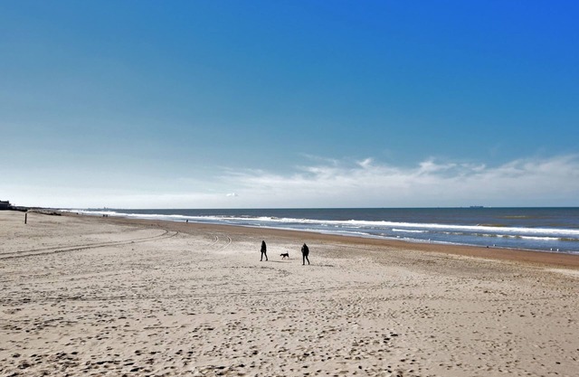 Relax in Your Holiday Home With Sauna, Near the Beach of Noordwijk