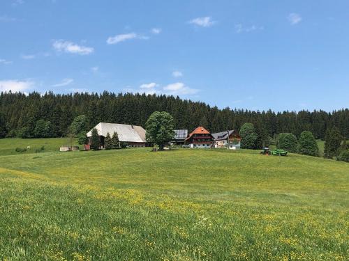 Rengethof