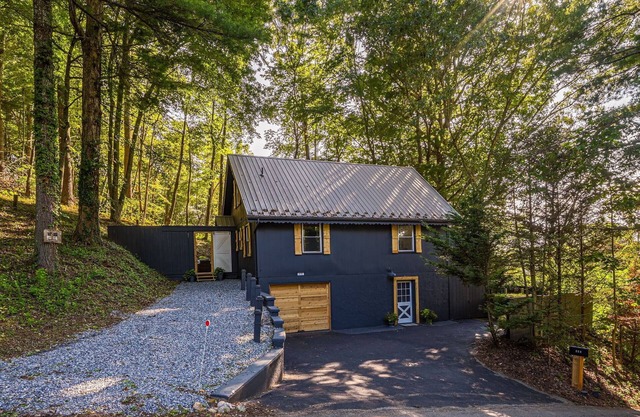 Renovated chalet just a walk down the hill to downtown Burnsville! Pet Friendly