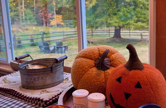 Renovated farmhouse, dogs friendly/hot tub with a mountain view.