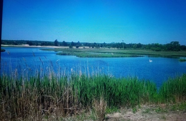 Rex- East Hampton Cottage- 5 stars