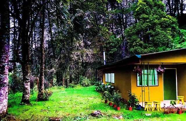 River Nest Lodge Costa Rica