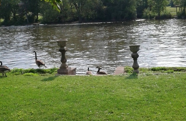 Riverfront rental