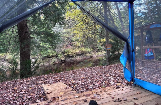 Riverside cabin in the woods