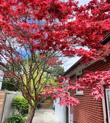 Riverwood Home-Three Bedrooms
