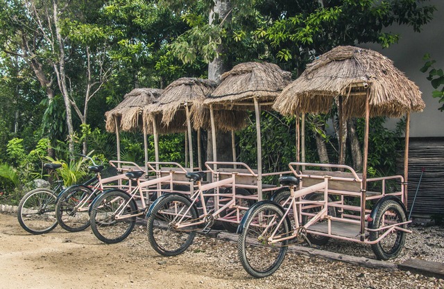 Roc Jungle Tulum