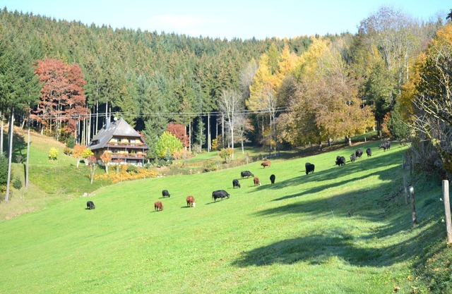 Rohrhardsberg, 75qm, zwei Schlafzimmer, max. 6 Personen