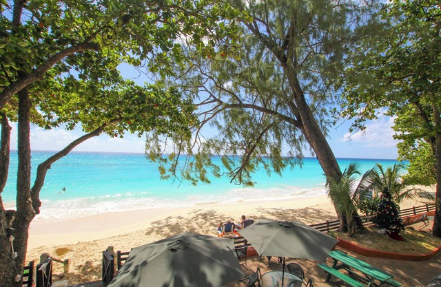 Romantic getaway on gorgeous quiet beach - Sea Star 3 (1 bedroom)