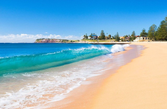 Royal Surf - Direct Beachfront