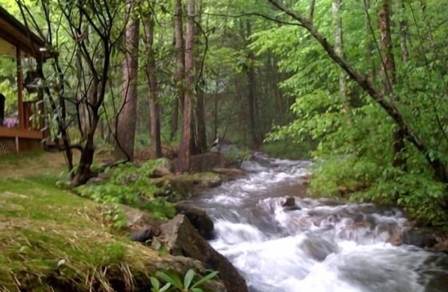 Rushing Waters Cabin - Feet from rushing creek. Book Summer now.