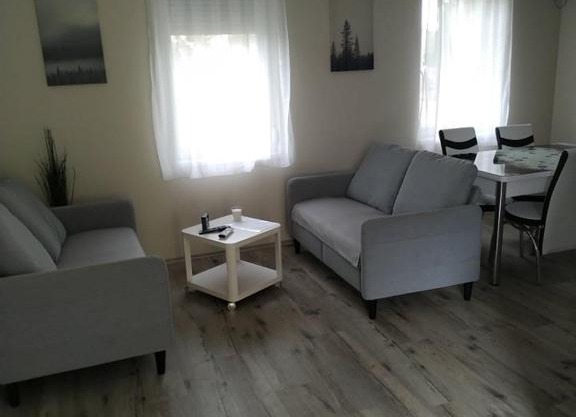 Süni apartman