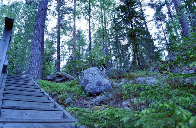 Salkolahti Tontti