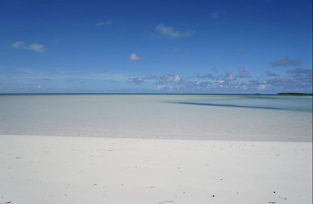 Salty Life - 1 bed, 1 bath with golf cart. 1 minute to the beach