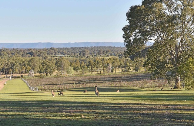Sandalyn Estate Hunter Valley