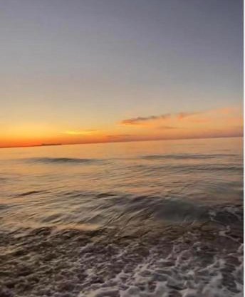Sea Harmony