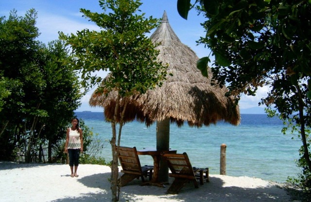 Sea Turtle House