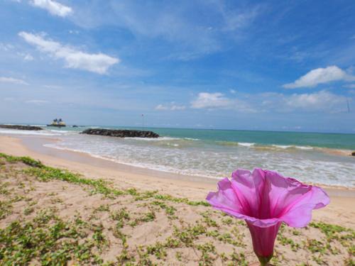 Sea View Villa