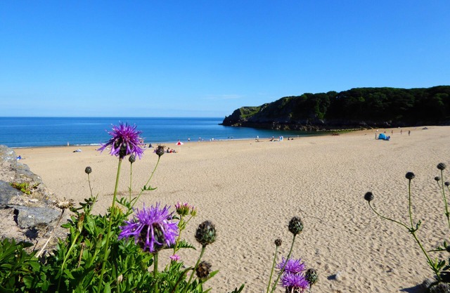 Sea views from every window, walks from the door. Dog Friendly.