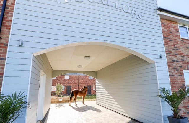 Seabiscuit