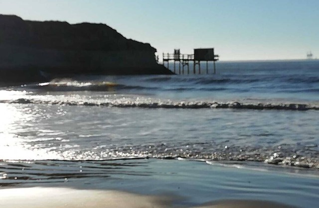 Seasonal rental near royan