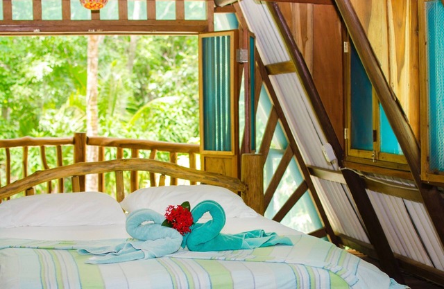 Secluded Beach Front Cabin in Jungle Setting.