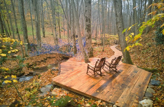 Secluded Nature Retreat: Views, 5 Miles Pvt. Hiking Trails, Waterfall & Tree Net