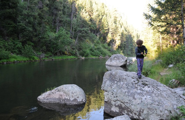Secluded Riverfront Paradise-the Tailwater House: not the average rental.