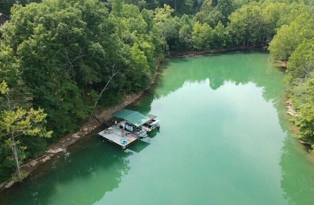 Shady Grove' kayaker's paradise, private dock & safe swimming, gentle slope
