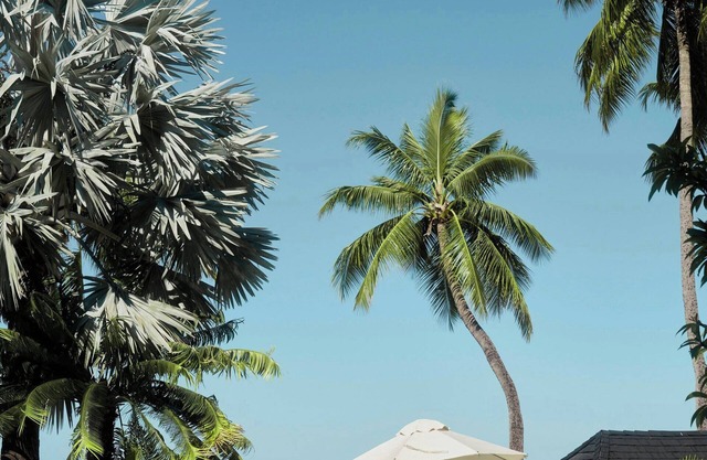 Sheraton Fiji Golf & Beach Resort