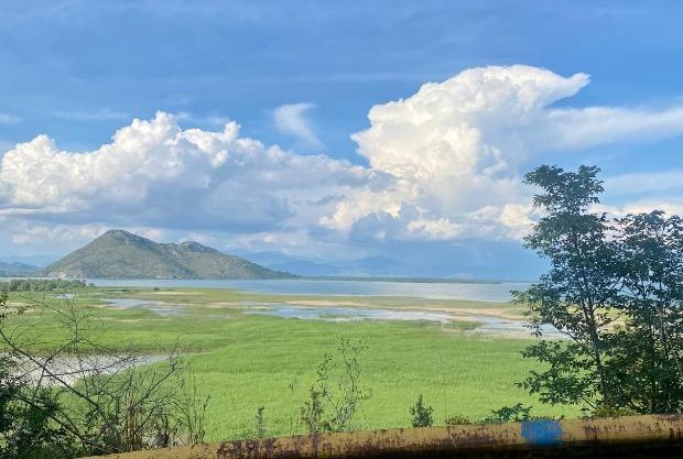 Skadar Lake Apartment Nikola I