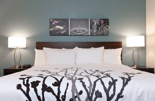 Sleep Inn McDonough South