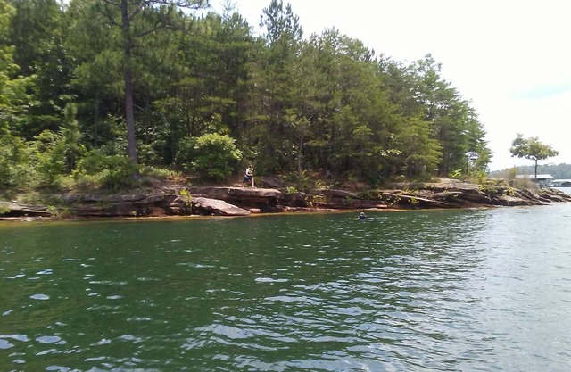 Smith Lake Escape! Comfy, colorful, family friendly home. Private boat launch